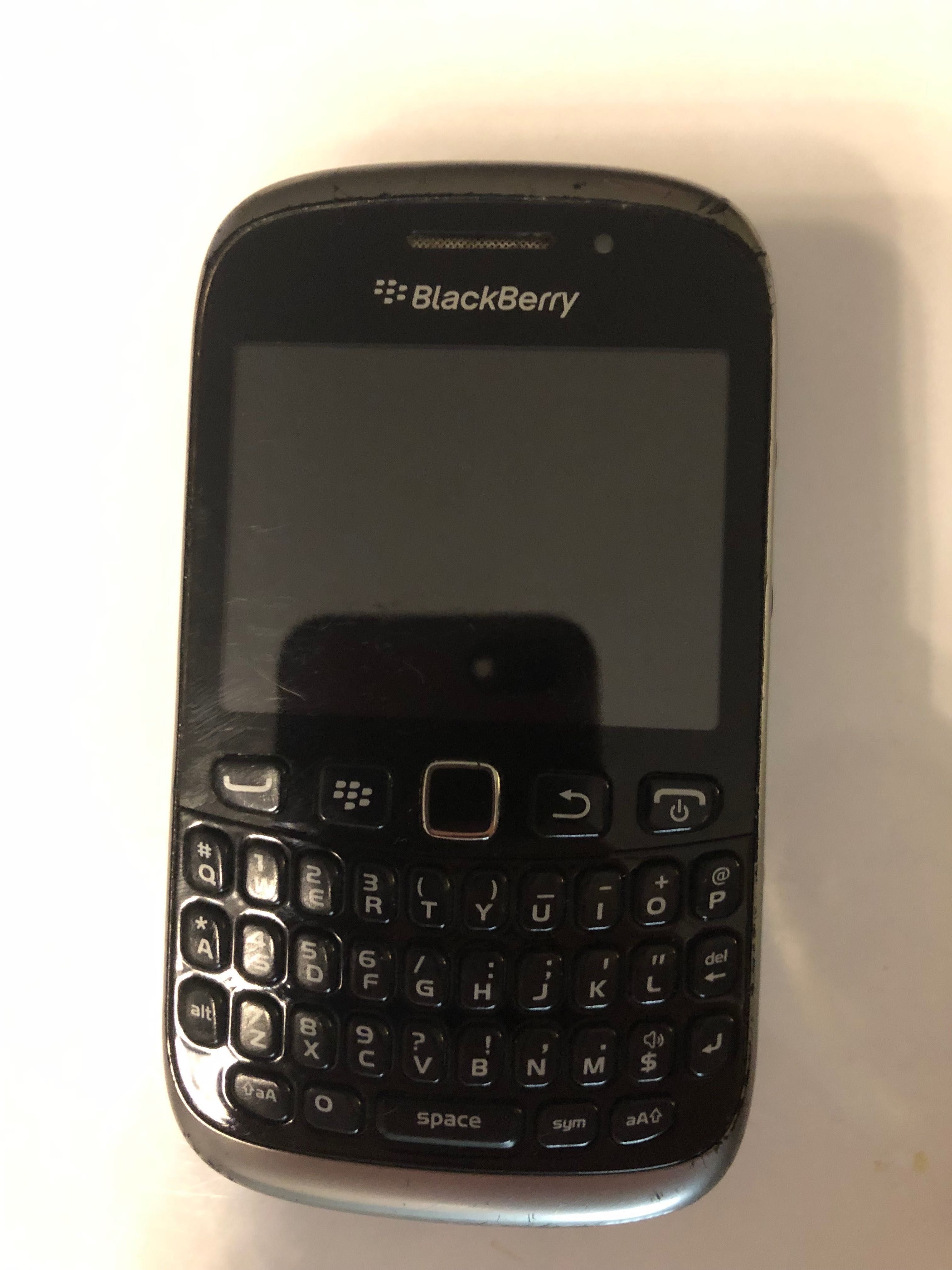 Blackberry Curve