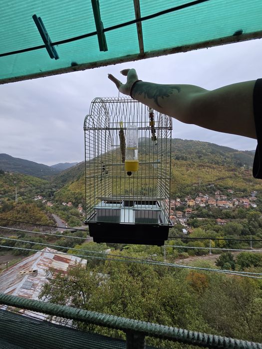 Клетка за птички