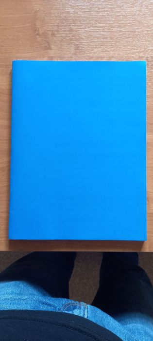 А3 снегурочка и светокопия есть цена 3000