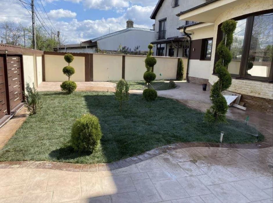 Garden Devis | Cele mai calitative Plante Ornamentale