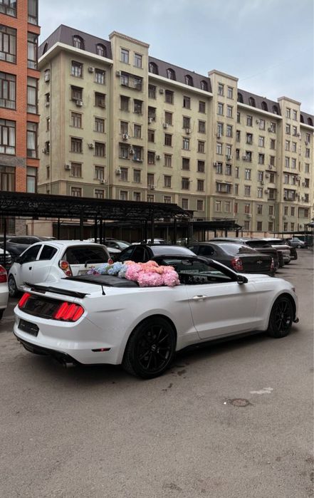 Kabriolet (Ford mustang) Rent car , Arenda
