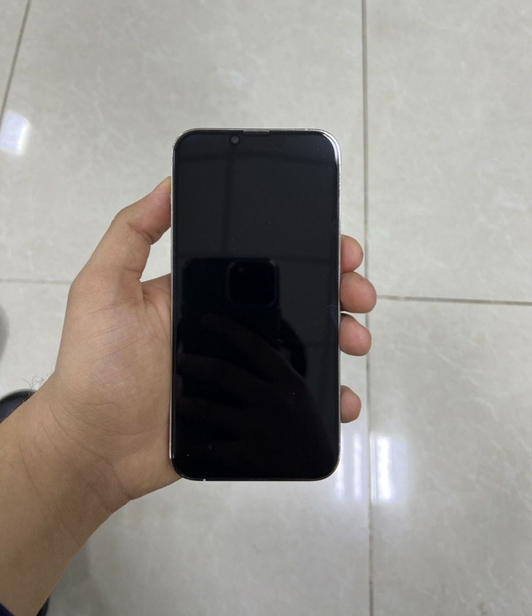 IPhone 13 Pro max