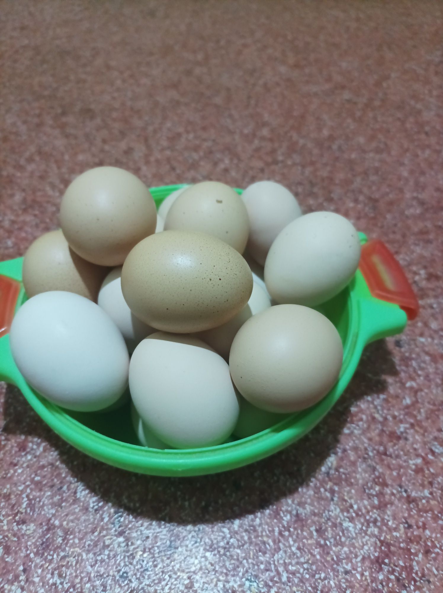 Продаётся домашние куриные яйца