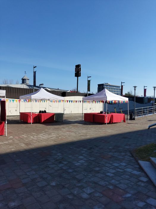 Прокат   Полатки