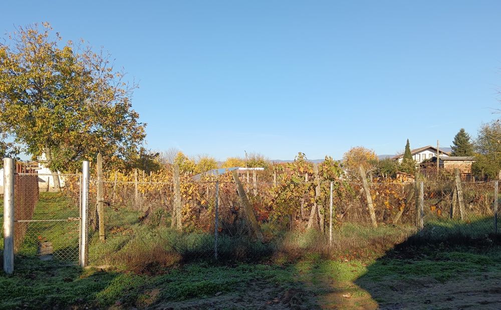 Продава се Парцел в с. Паничери, Област Пловдив - 900 кв.м за 6 €/кв.м - Снимка #4