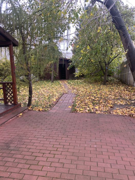 Casa si spatiu afacere de inchiriat Piata Resita