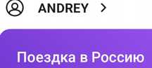 Оформление заявки для поездки в РФ