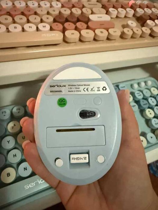 Tastatura + mouse serioux retro