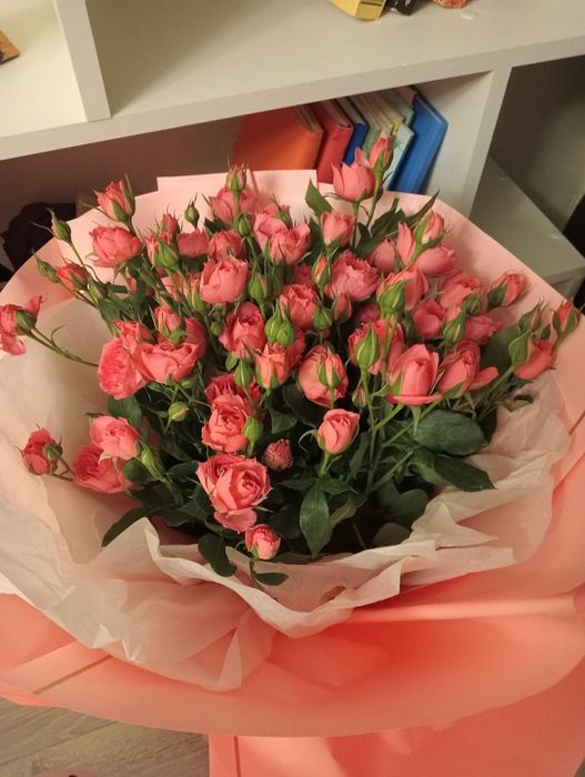 Продам свежие кастовые розы
