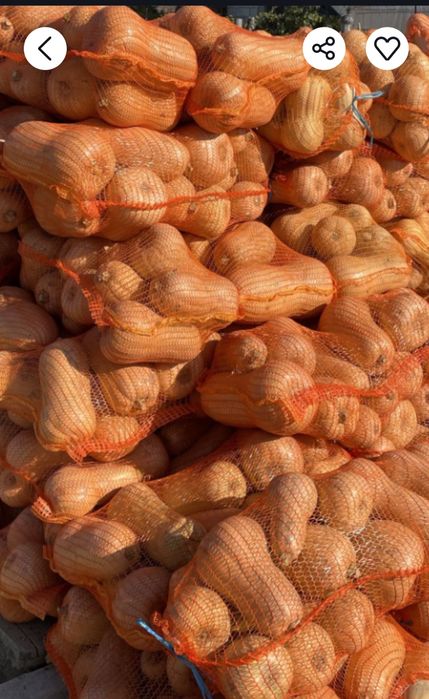 Plăcintari 2 lei kg