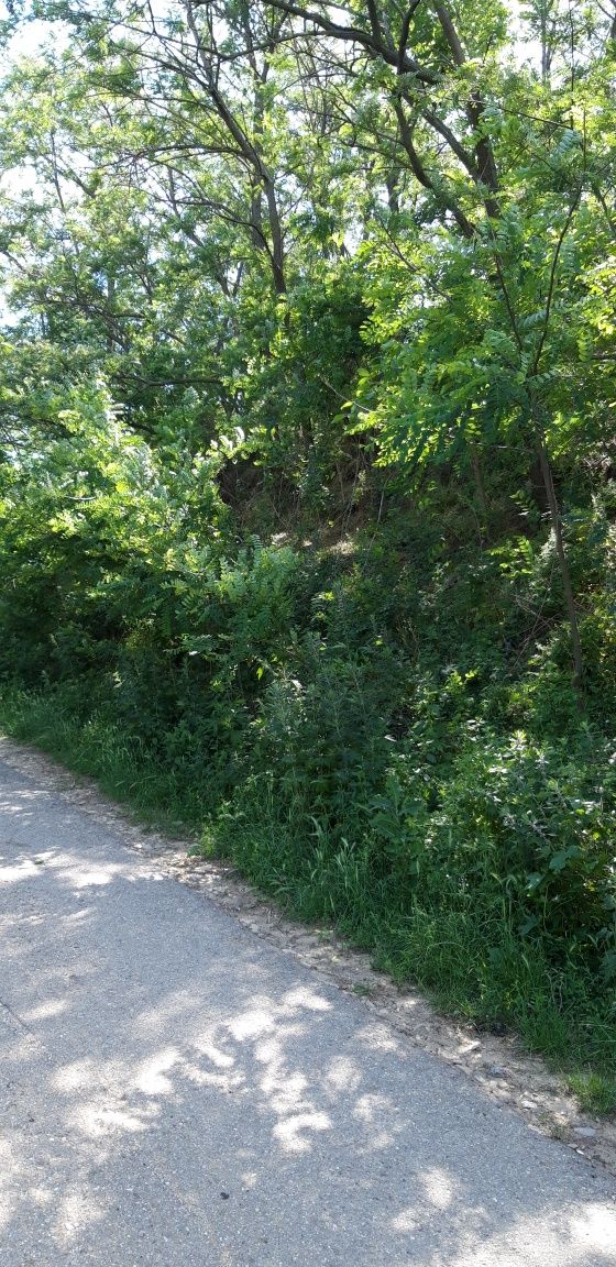 LOC De casă cu utilități