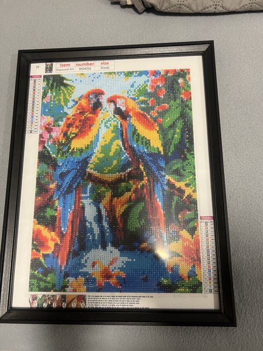 Диамантен гоблен - 30х40 поставен в рамка