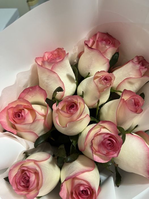 Букет роз, свежие