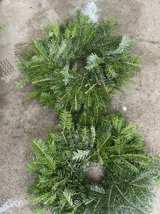 Coronita brad natural