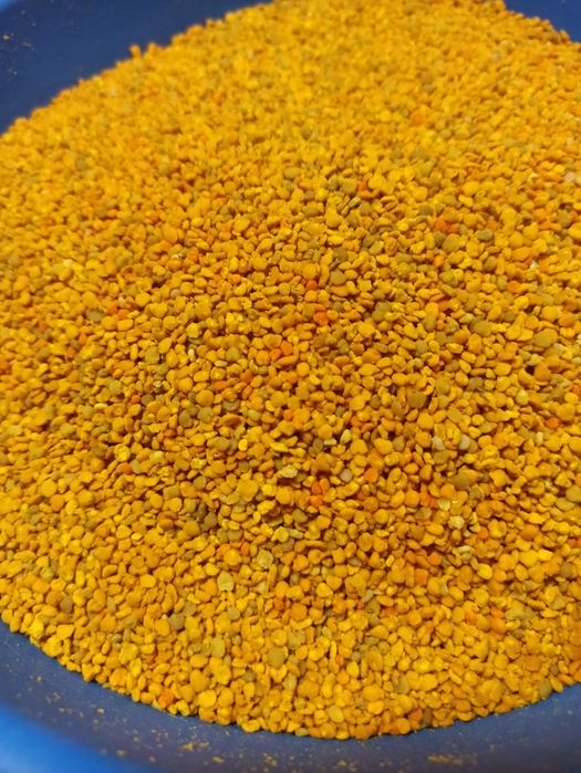 Vând polen din stupina proprie