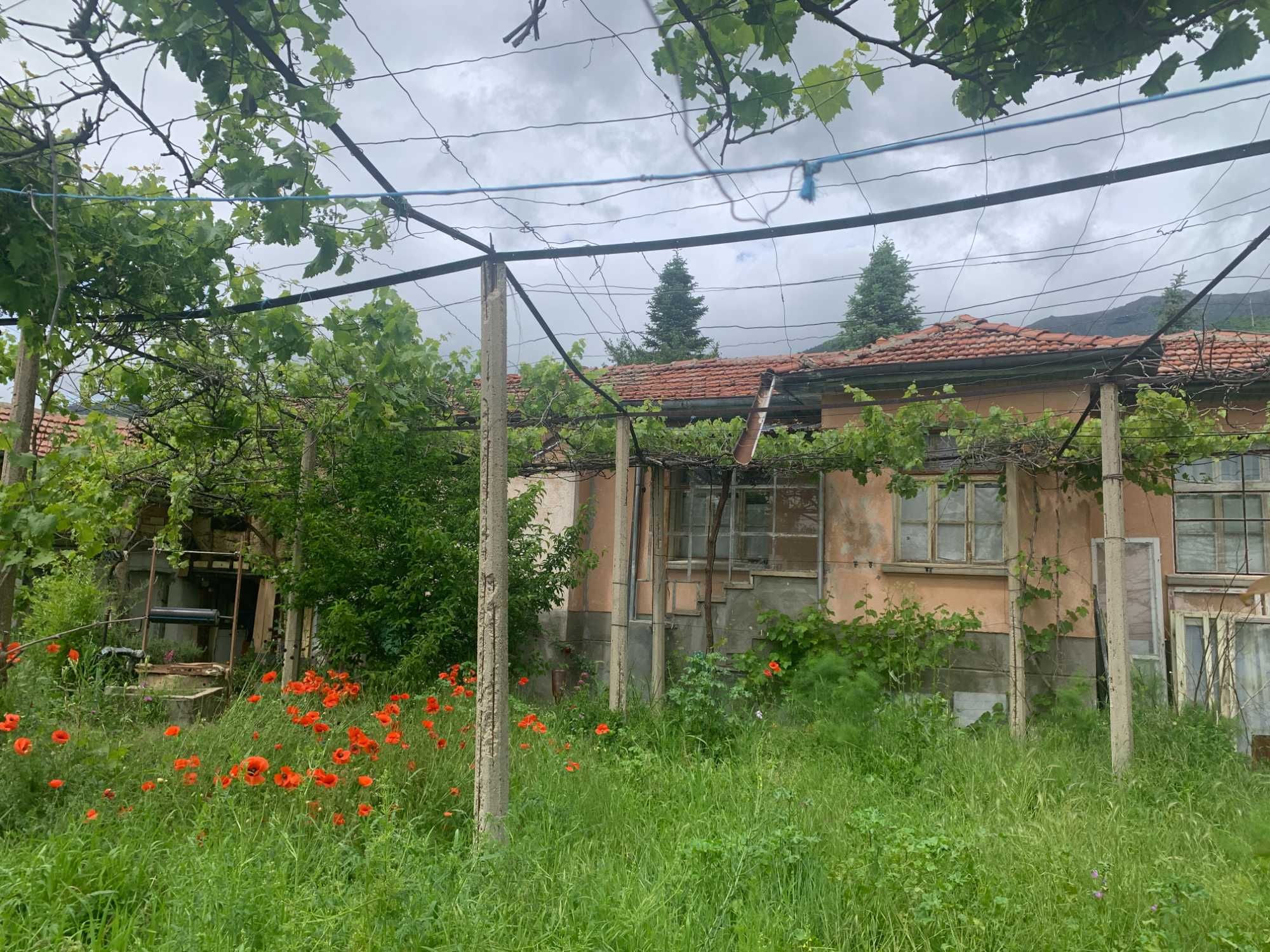 ДВЕ КЪЩИ с двор в центъра на кв. Сушица