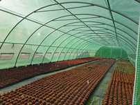 SOLAR TEAVA GALVANIZATA de la 2X2m pana la 8x20m  LG