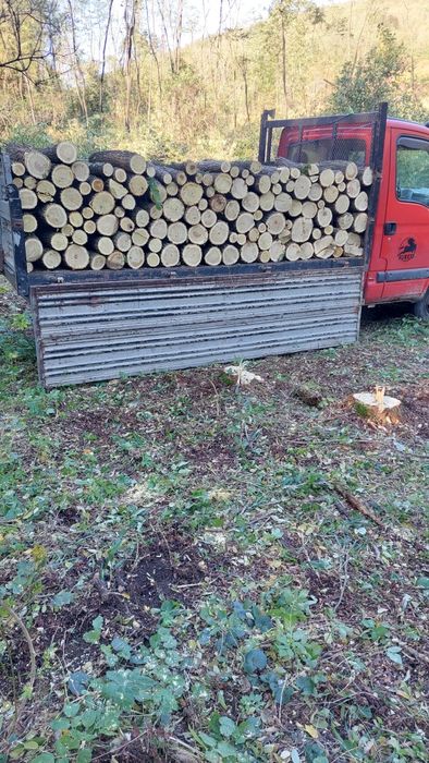 Lemn pentru foc esență tare