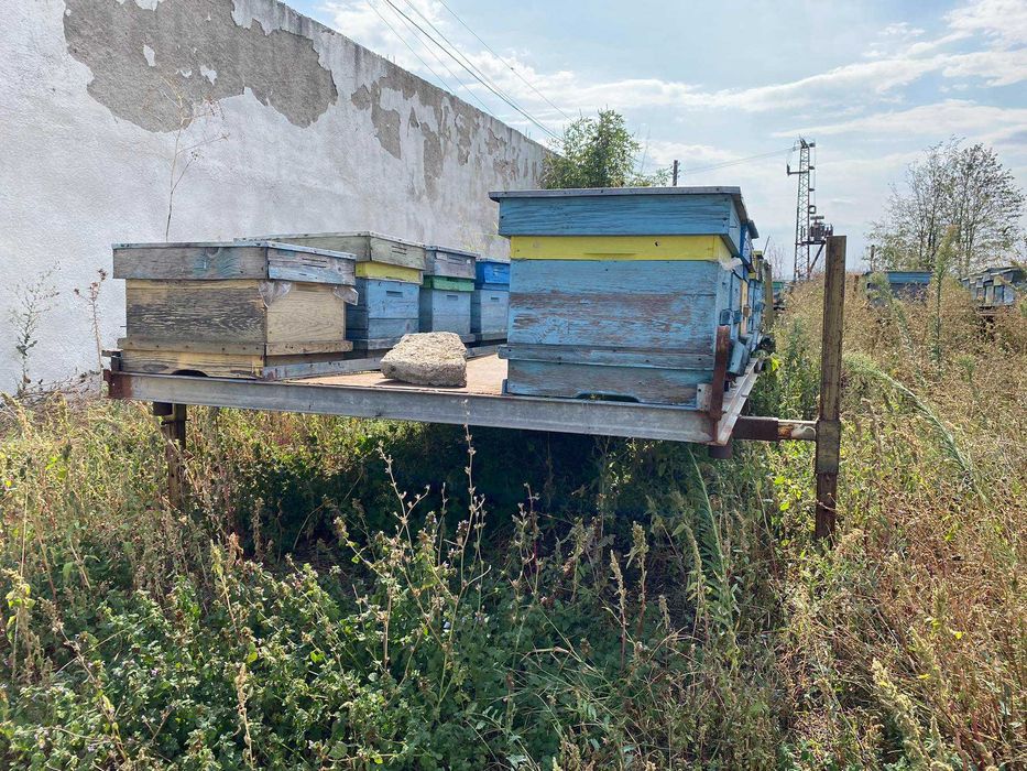 Пчеларски платформи за подвижно пчеларство