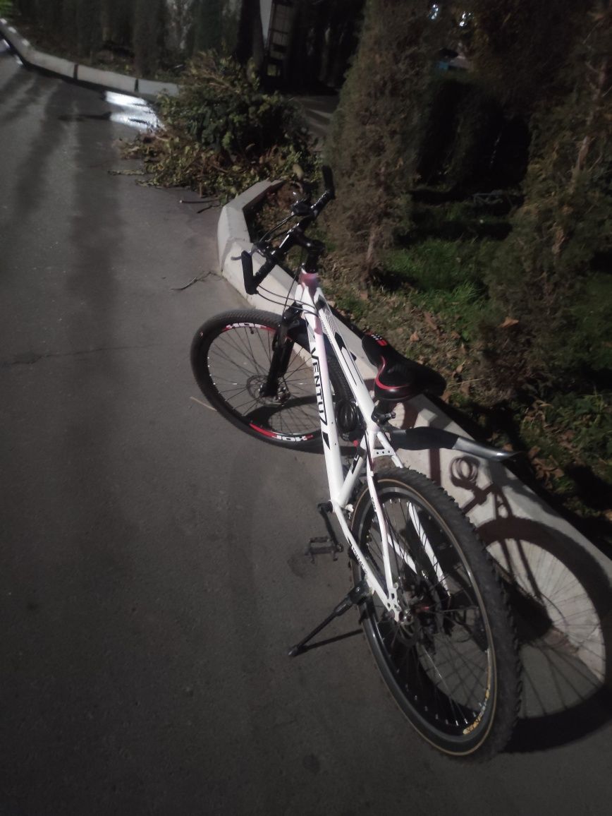 Velosiped Ventuz