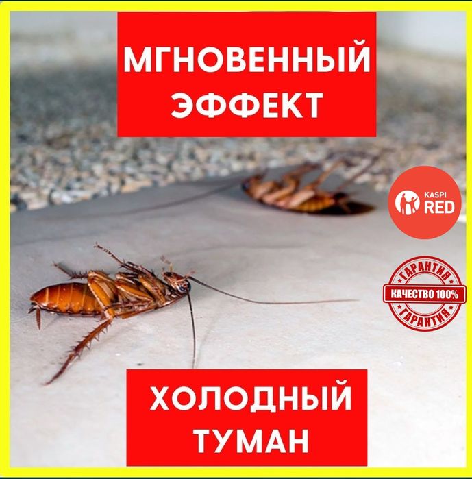 Уничтожение ТАРАКАНОВ