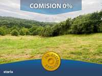 Comision 0%. Teren 3234 mp in zona de deal, Campulung Muscel, jud. Arg