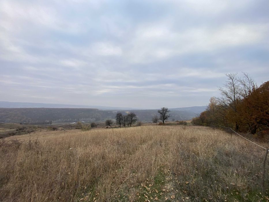 12 ha pășune în comuna Bălțești, Prahova