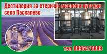 Дестилерия за етерични масла, изваряване на Лавандула