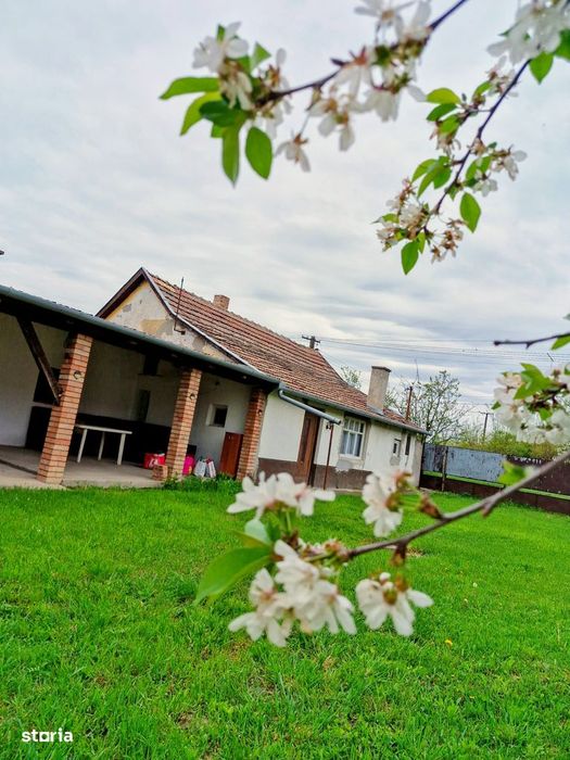 Vând casă în Bătania