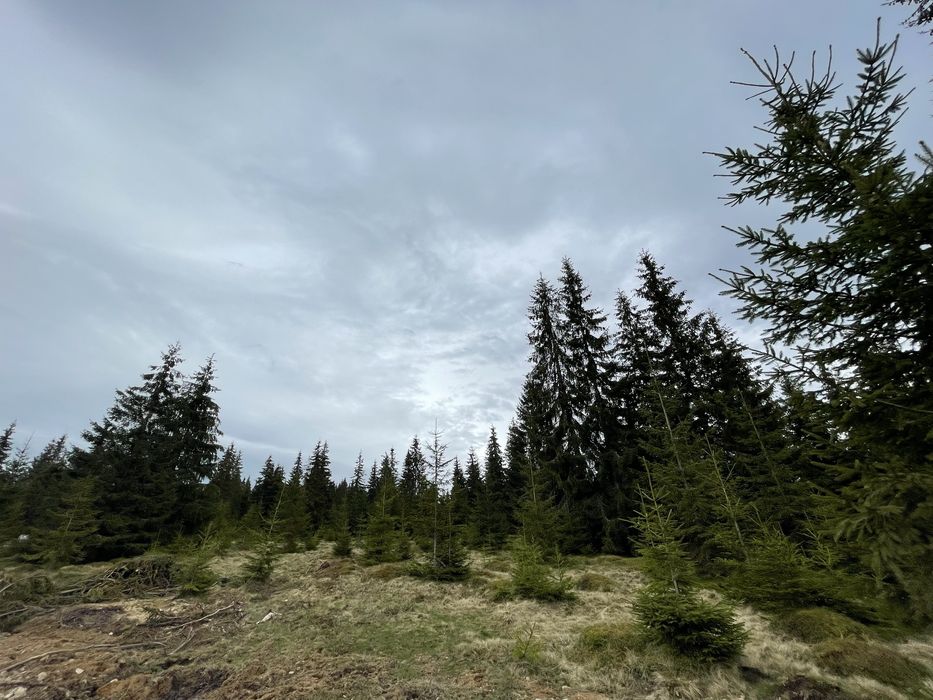 Teren INTRAVILAN de VANZARE (1500mp) - Partia de Ski Marisel