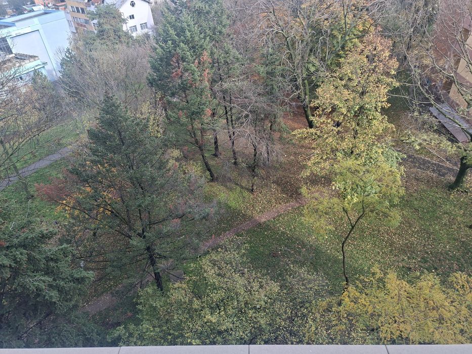 Proprietar: Garsonieră Renovată Modern (Craiovei), Boxă pe Etaj, Parc