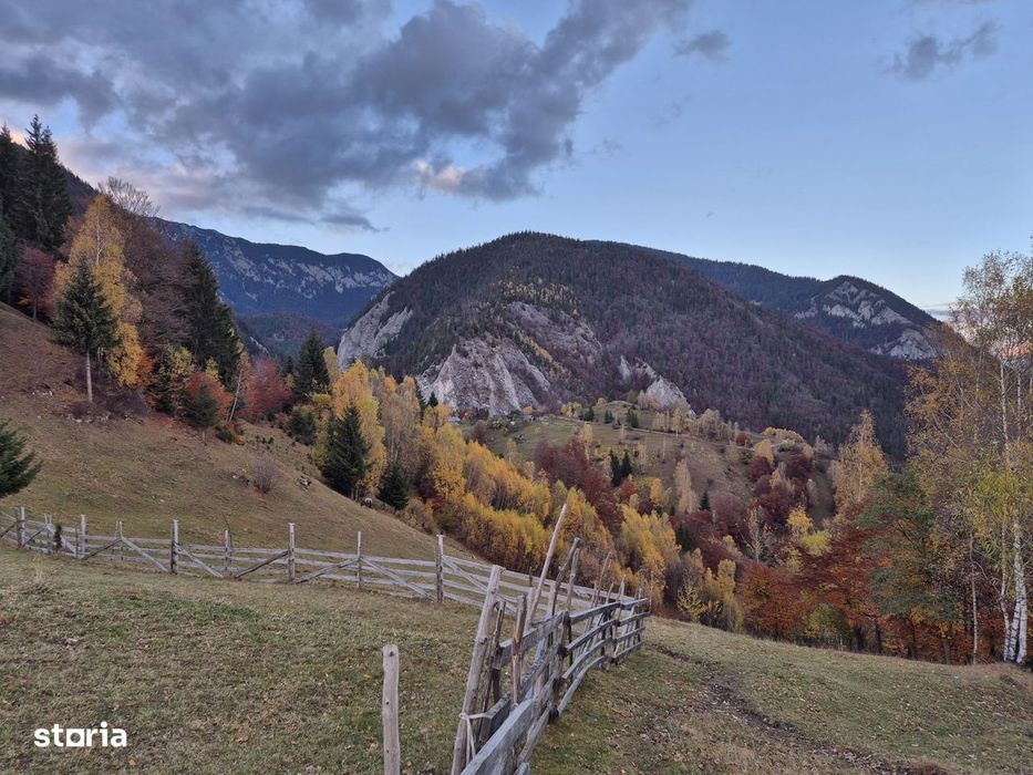 Teren cu energie speciala zona Pestera/Moeciu Brasov, 13.570mp