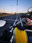 Ducati Scrambler Icon