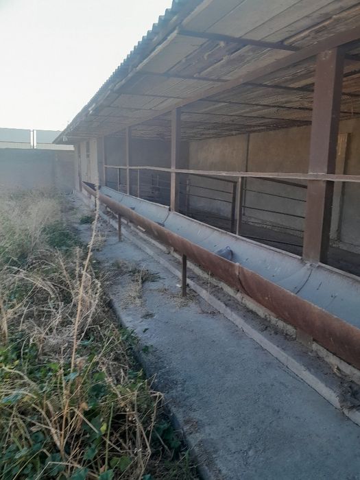 Кибрай марказидан 4км, 11сотх