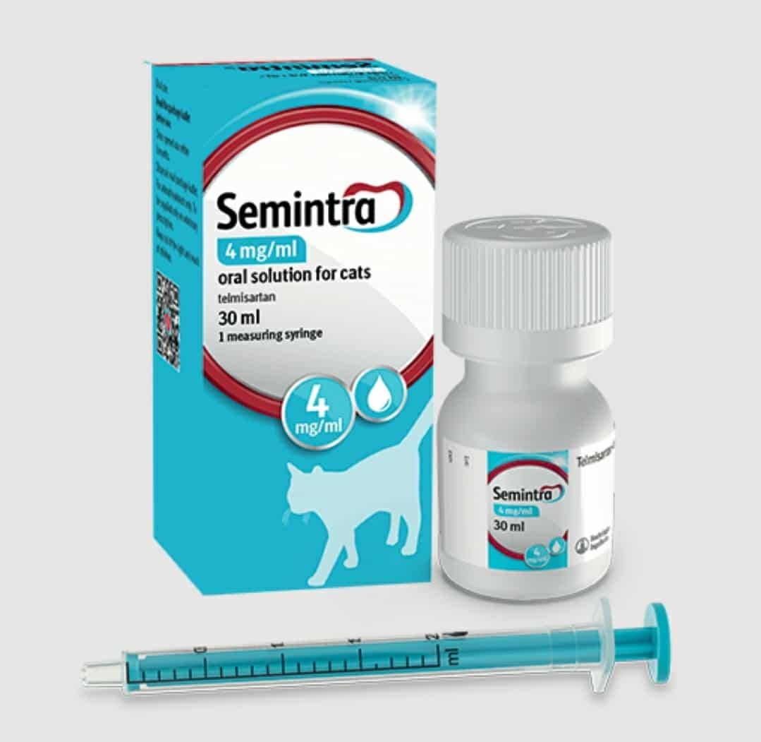 Semintra - при бъбречна недостатъчност при котки