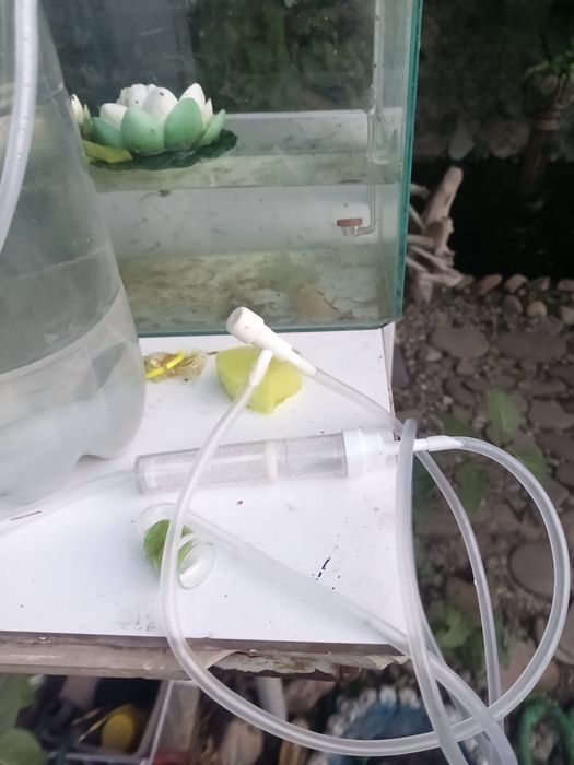 Sistem diy CO2 acvariu oferta!