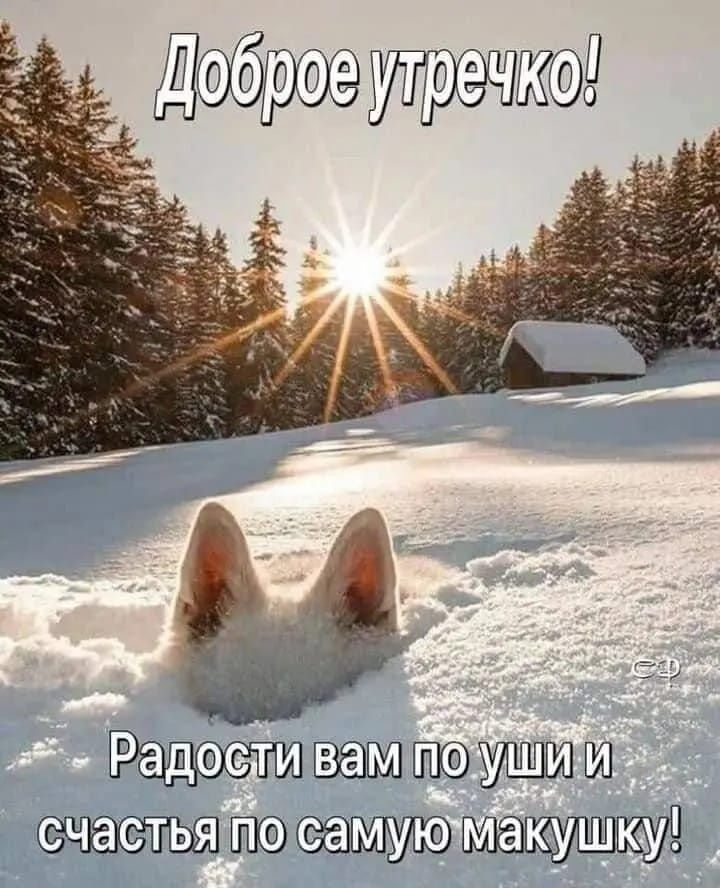 Алма Ата редкое издание