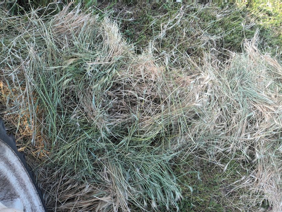 Baloti de fan pe plasă