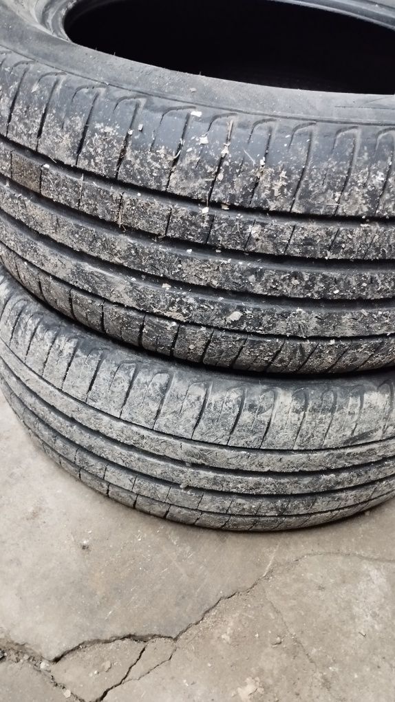 Летни гуми пирели 205.55.16 Pirelli Cinturato