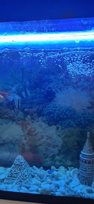 Аквариум комплект