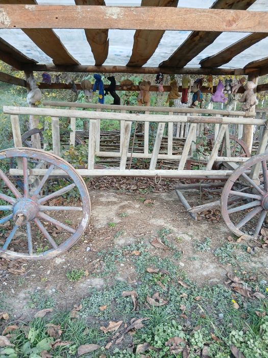 Vând car de pus în curte pentru flori