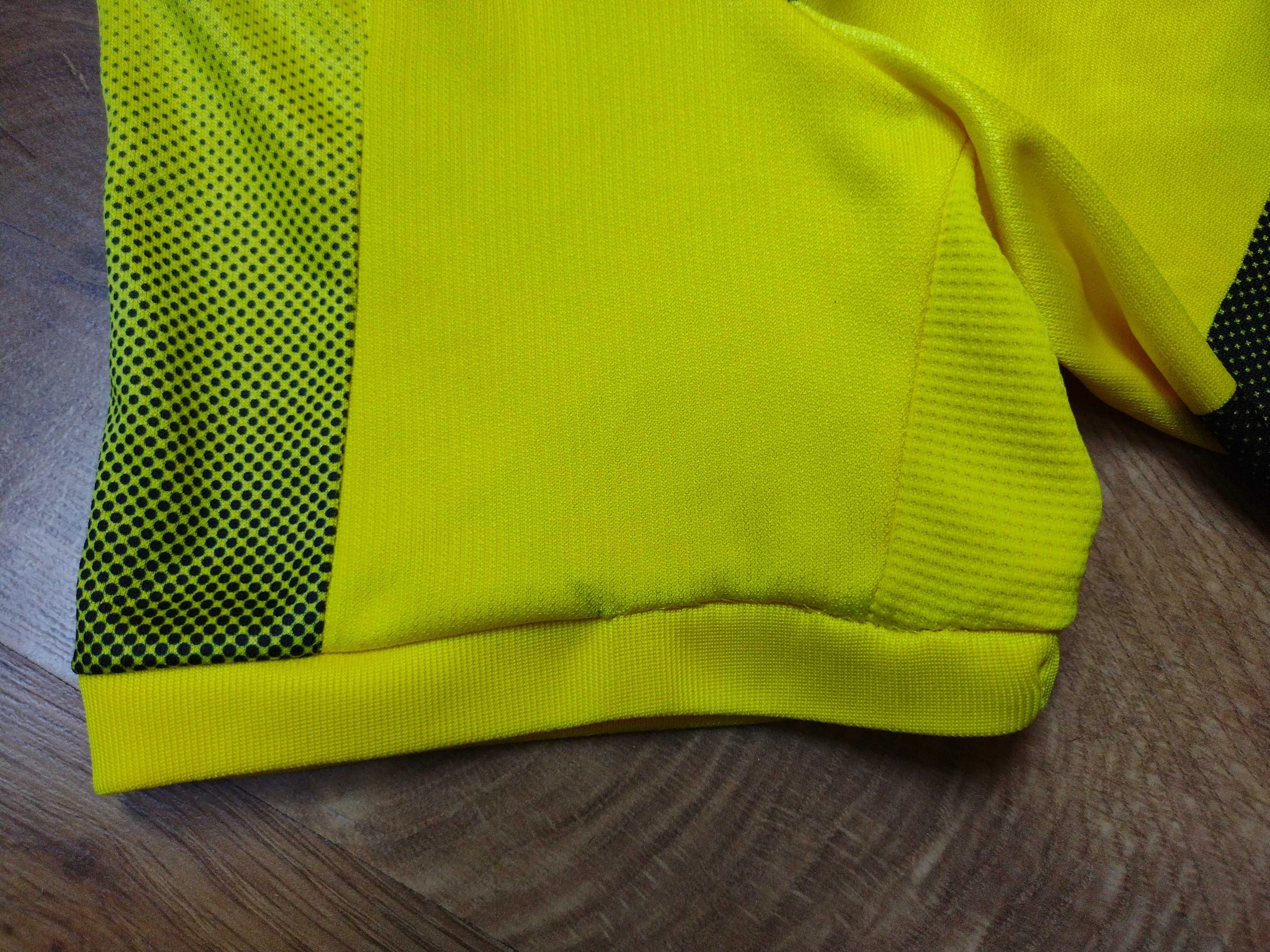 BVB Borussia Dortmund / Puma / #33 Weigl - тениска на Борусия Дортмунд