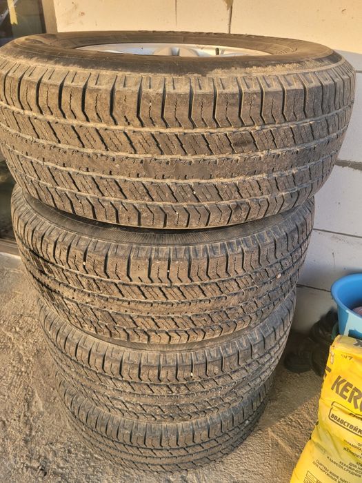 Диск с ризиной...