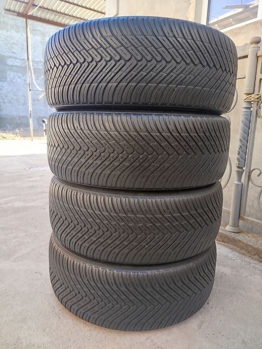 225 55 R17 Shina Superia