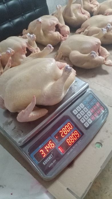 Куры. Тушки в свежем виде. Цена указана за килограмм.