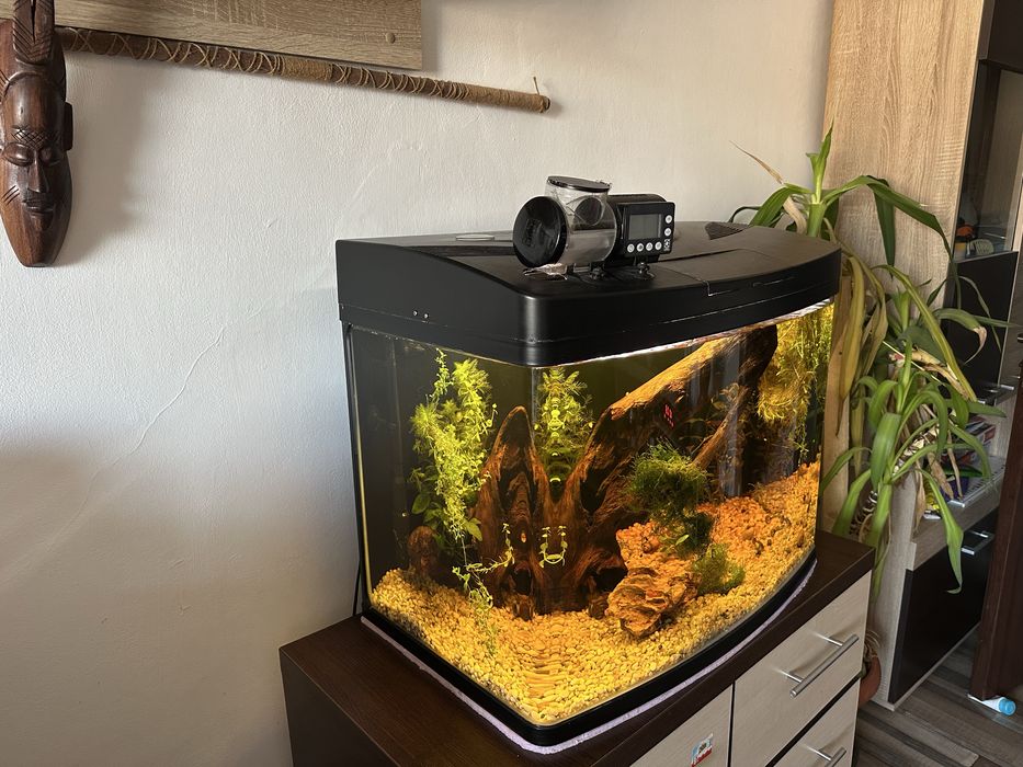 Vand acvariu curbat 100 litrii