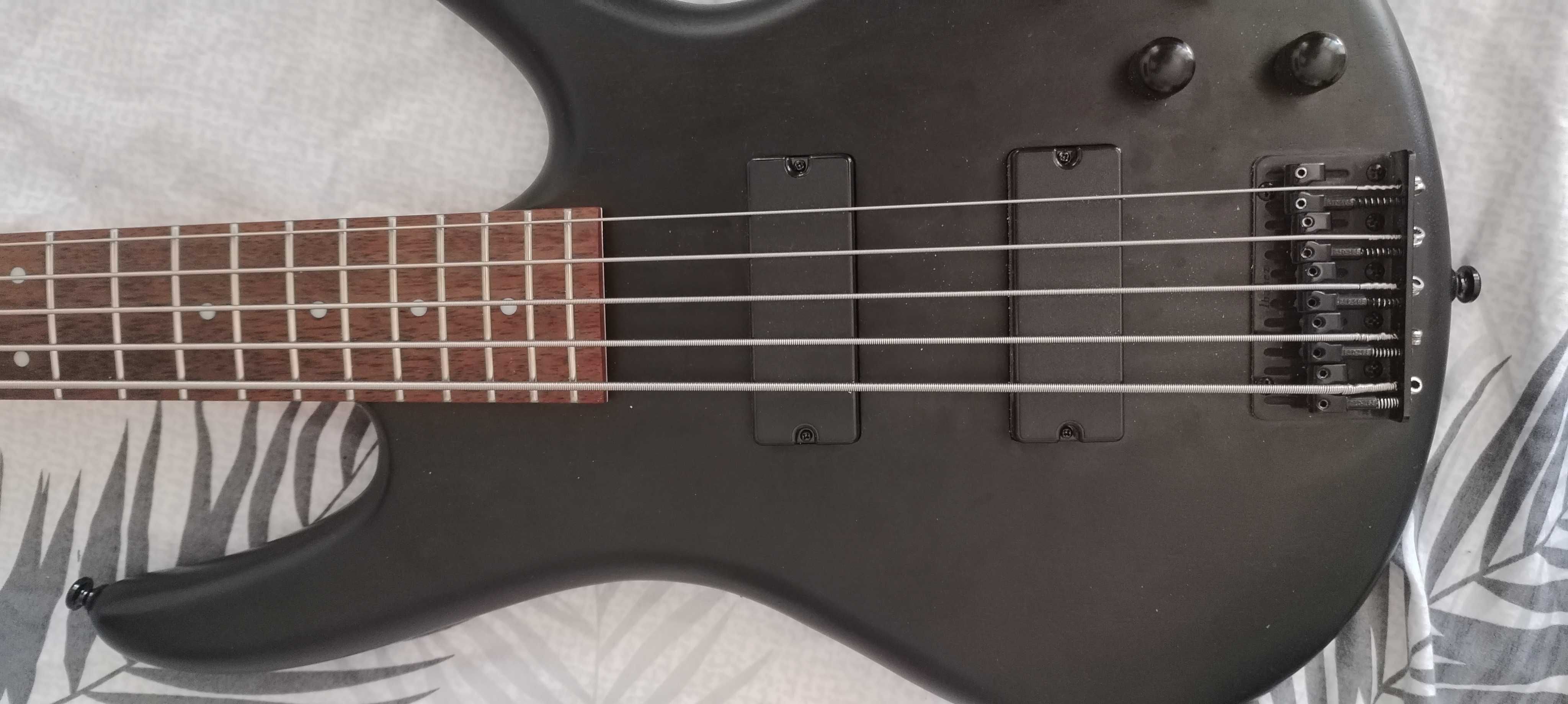 5 струнен бас Ibanez GIO GSR205B