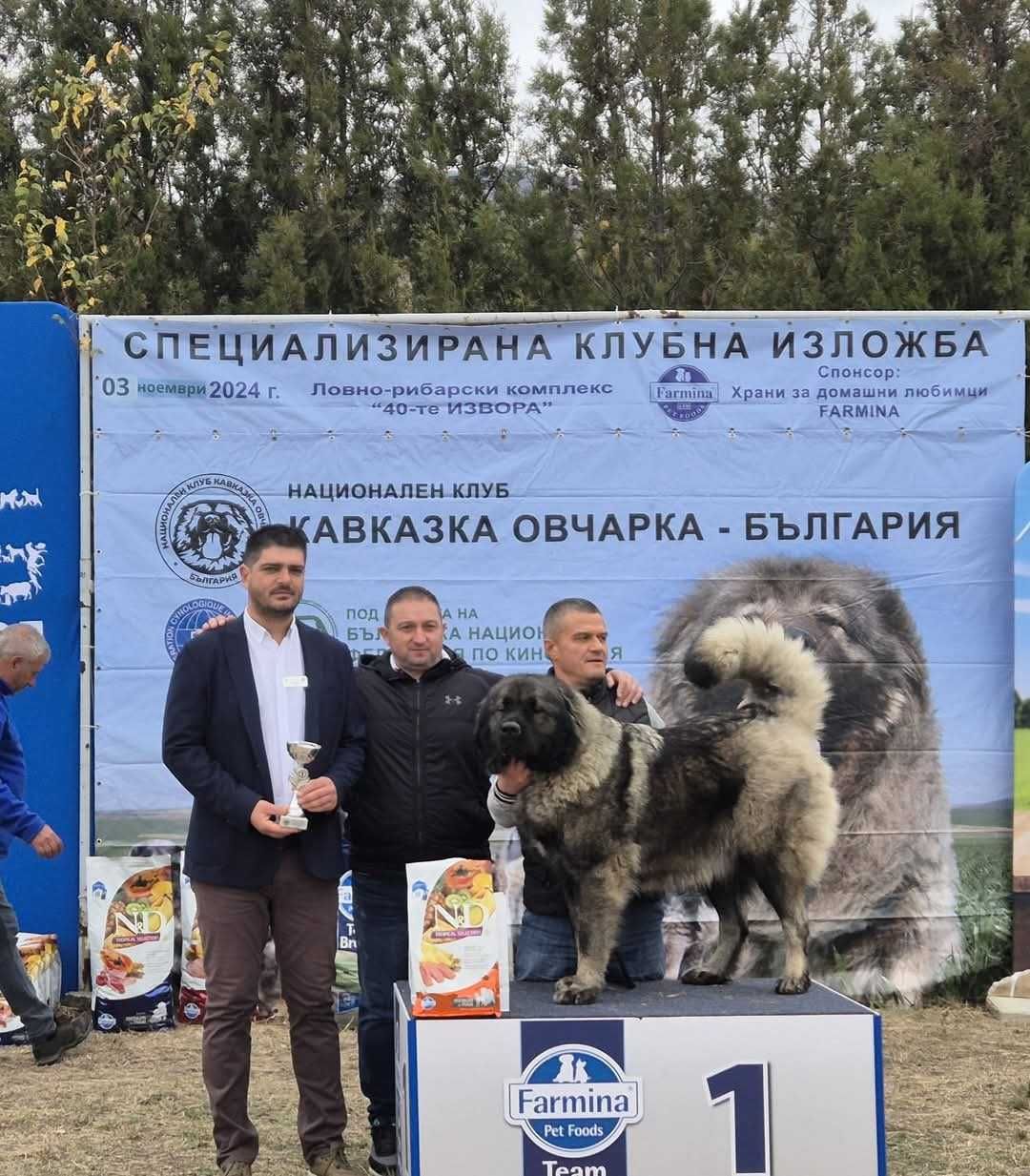 Кавказка Овчарка