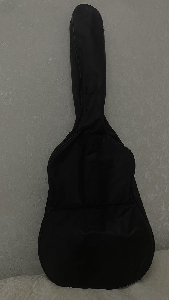 Акустическая гитара Agnetha