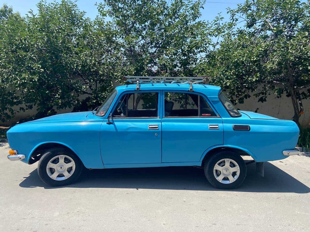 Азилка 1981йил 8